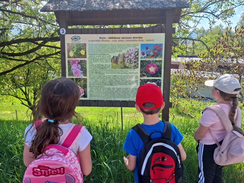 Read more about the article Popoludnie na Borovej hore (ŠKD)