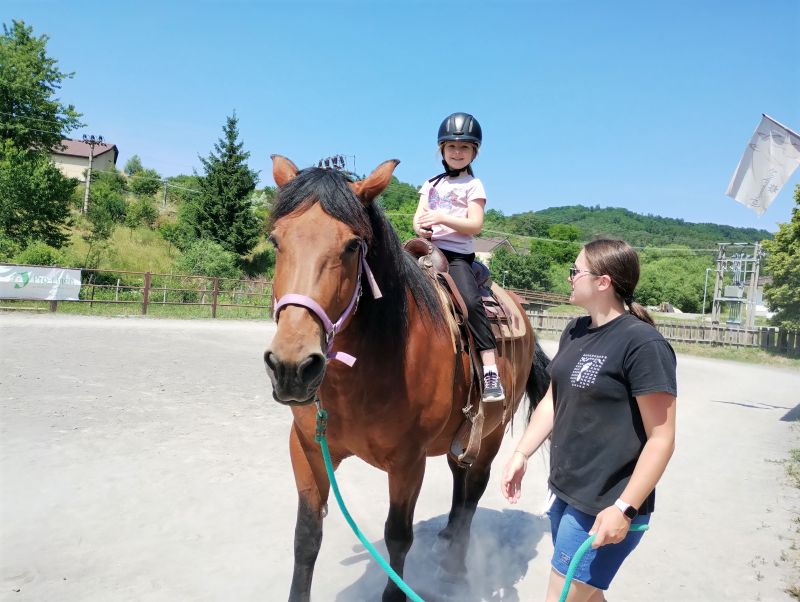 Read more about the article Krajina z konského chrbta (ŠKD)