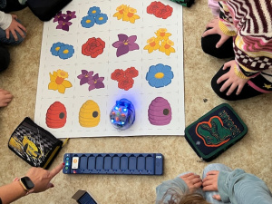 Read more about the article Robotika s Emou – 2. ročník